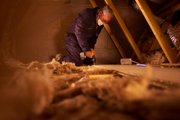Best Insulation Maintenance and Repair in Euless, TX