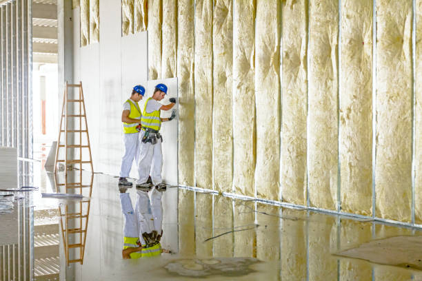 Best Specialized Insulation Services in Euless, TX